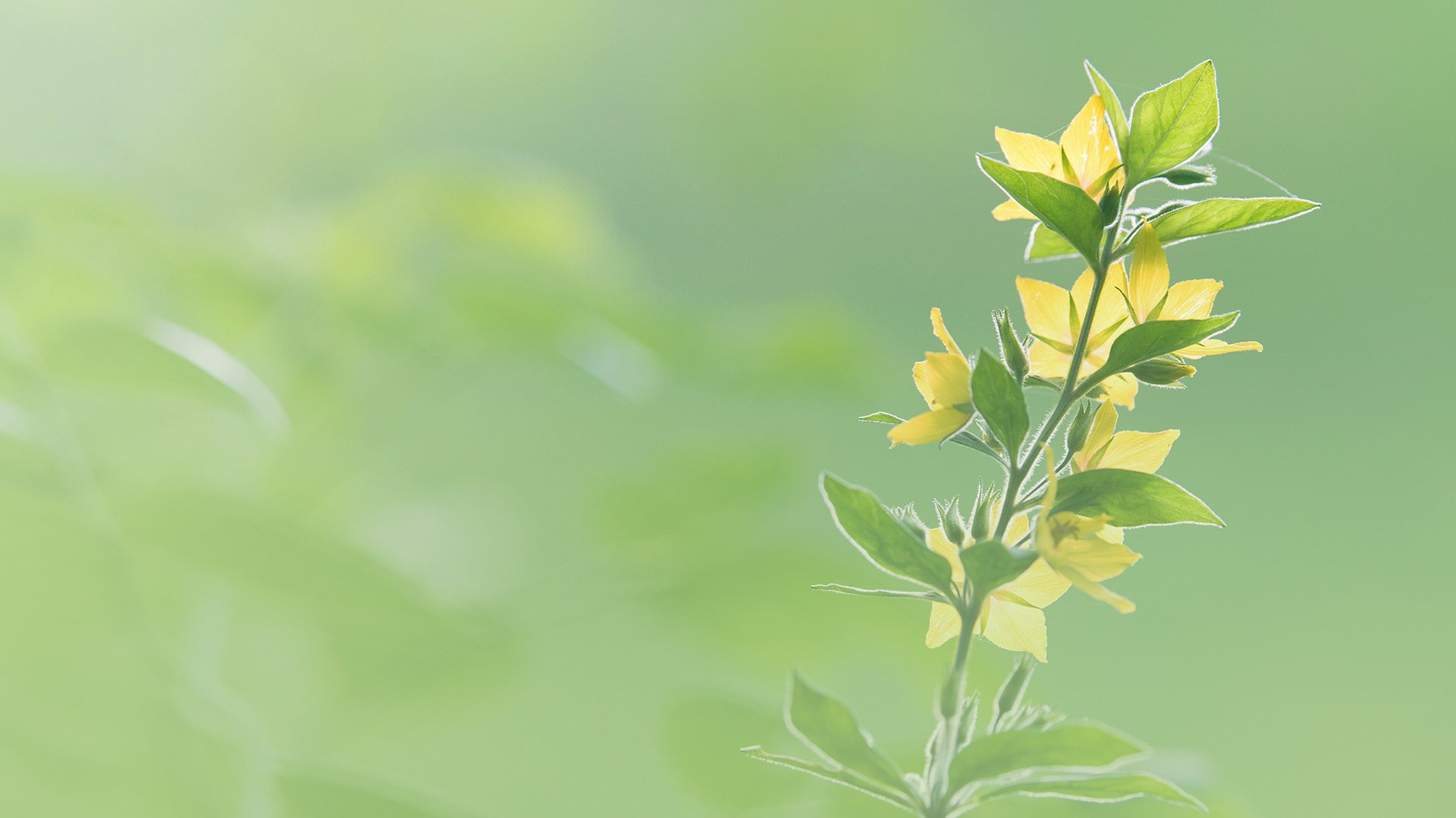 22_CR_PV_DivorceSupport_1920