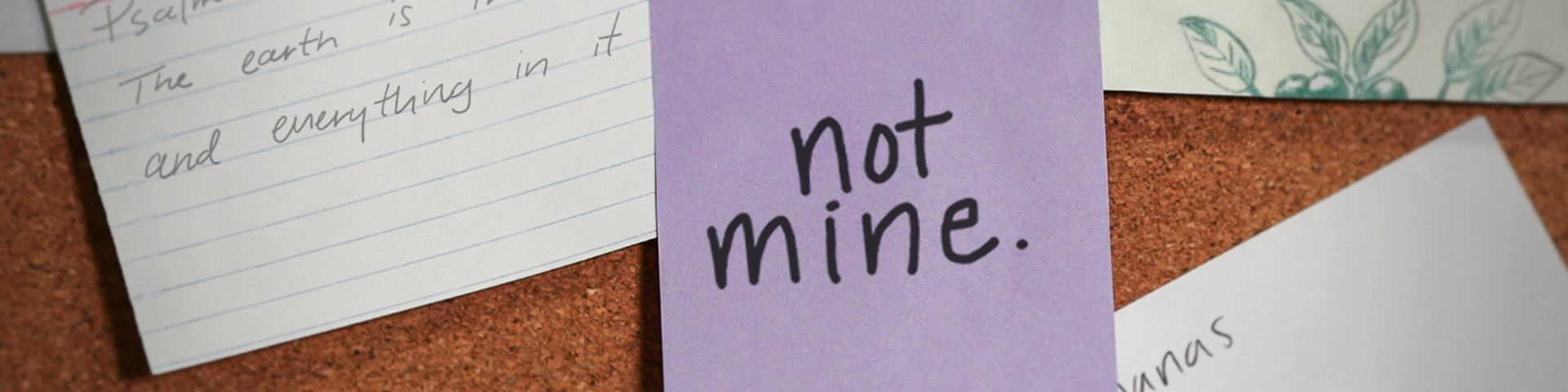 Not Mine Series Graphic