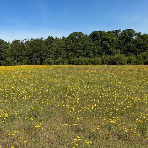 Natural Burial 2026-1