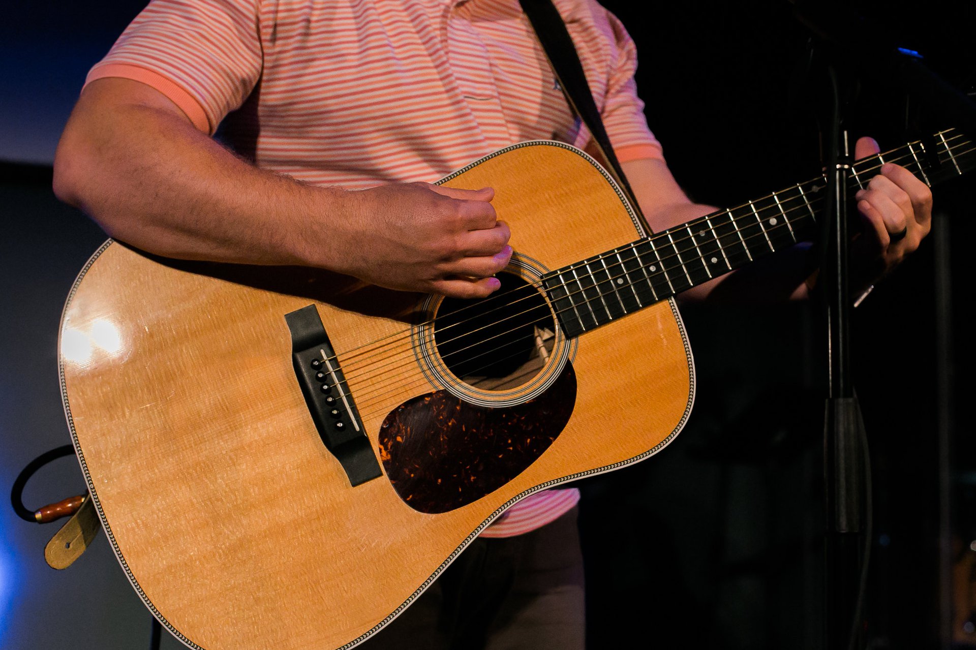 Large Guitar