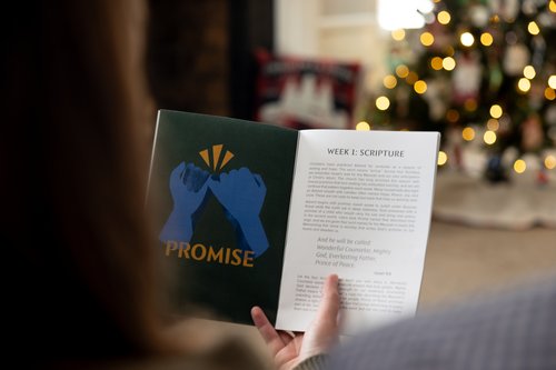 54944332759_08408334b8_o (1)