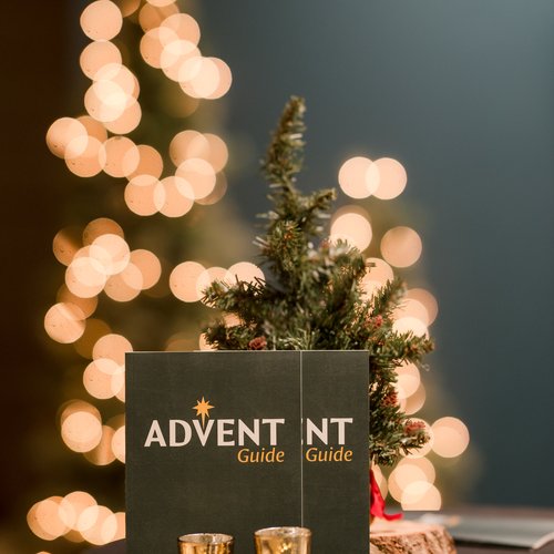 54961733090_ae0bb6d153_o