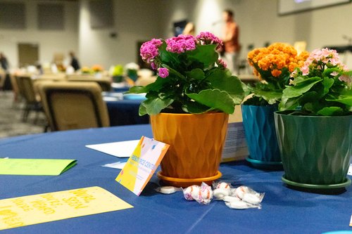 55111256997_59687e86a5_k