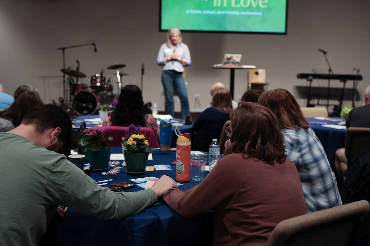 55113833356_3e435e06d5_k