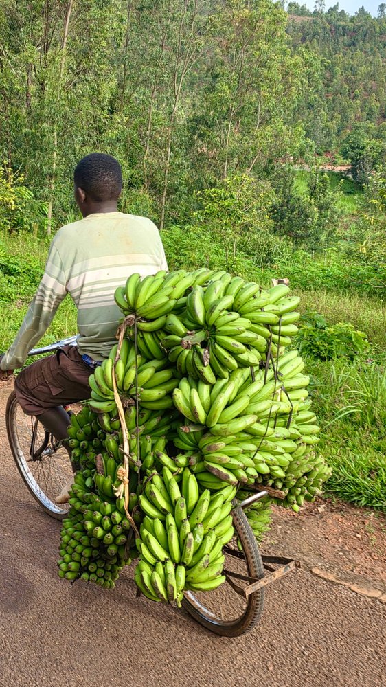 Rwanda man on bike
