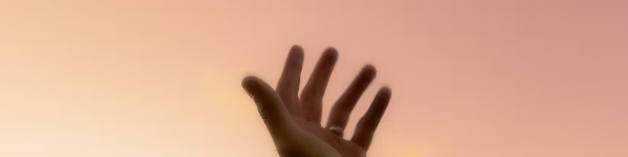 nov 2025