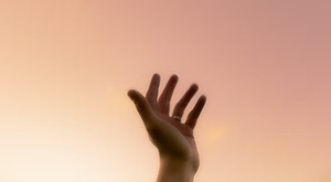 nov 2025