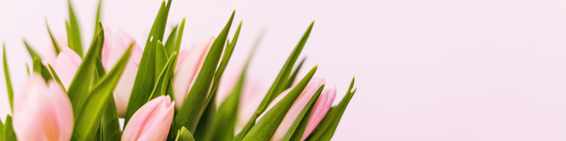 gentleness