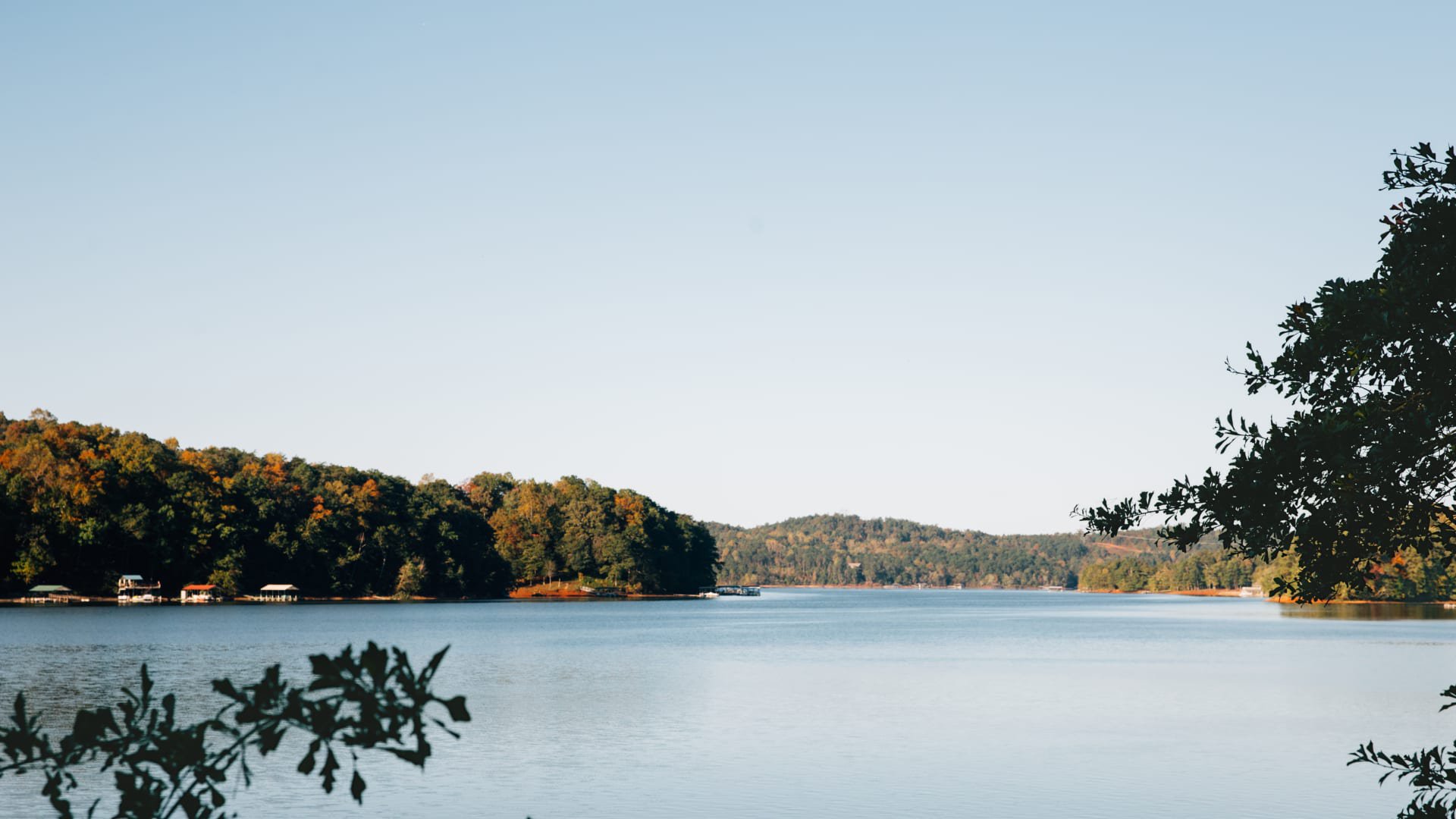 pine cove