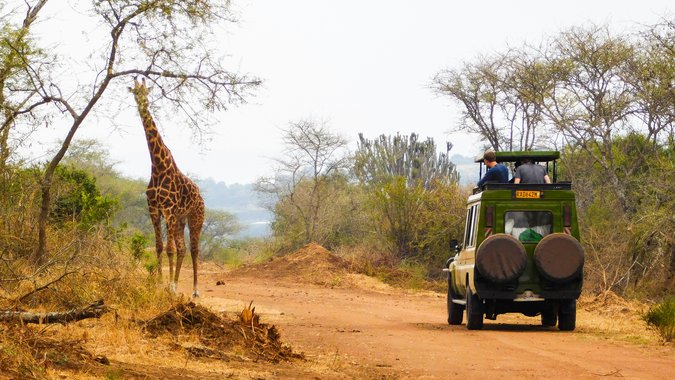 Rwanda Safari