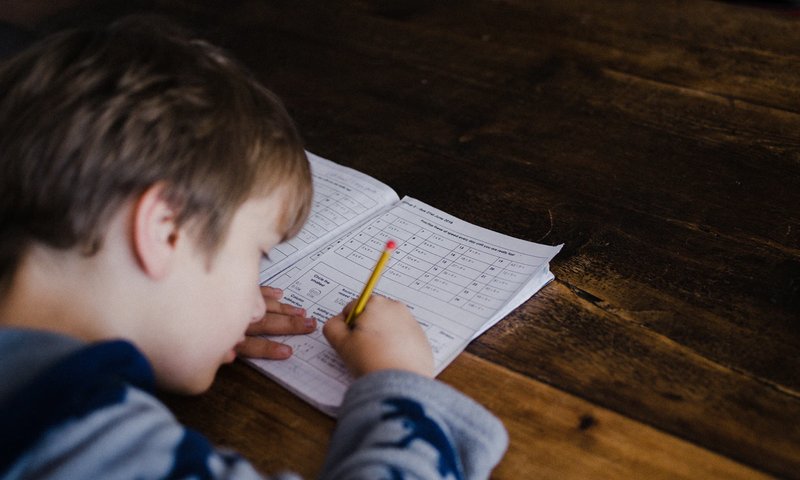 Student Doing Homework