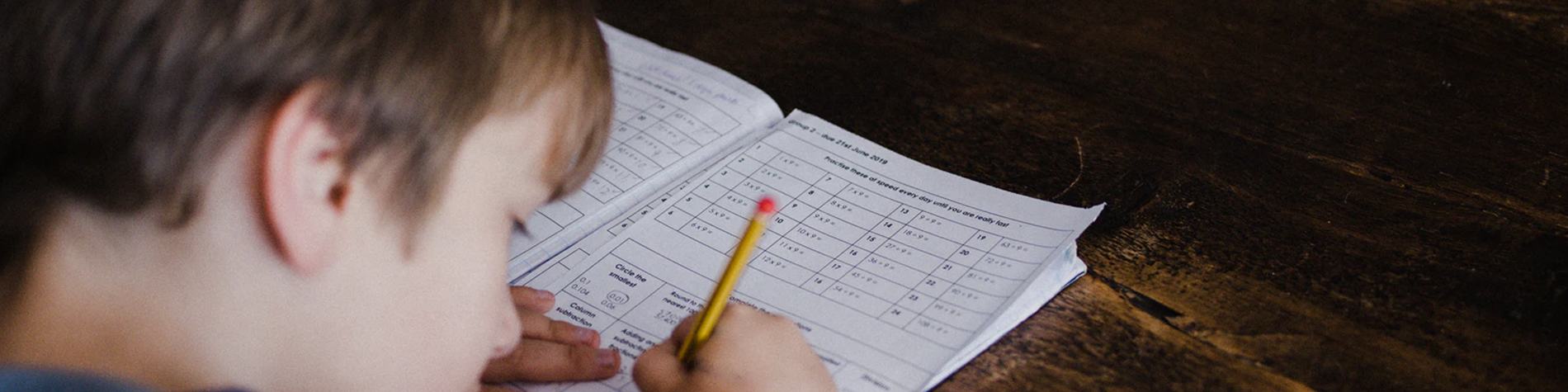 Student Doing Homework