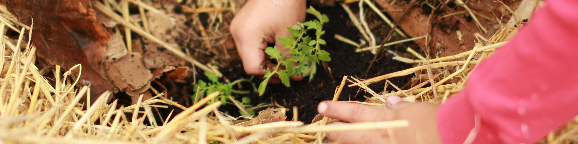 planting truth