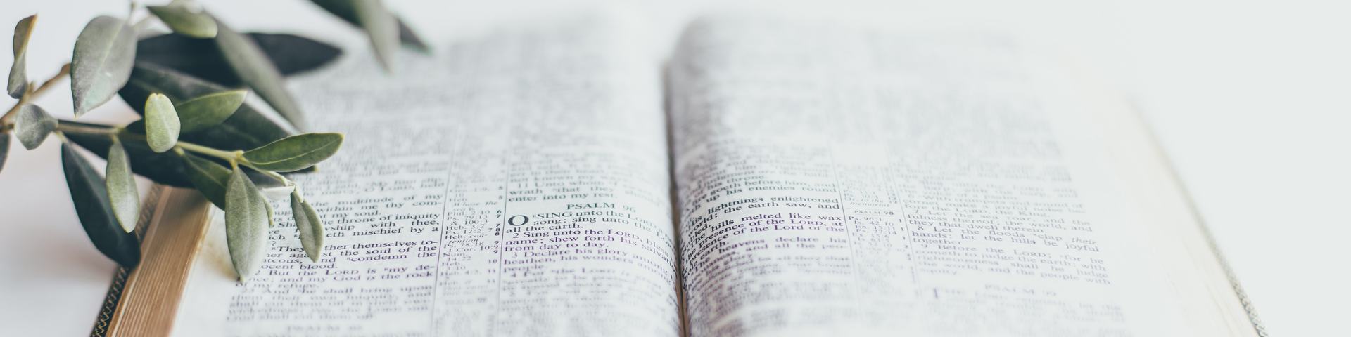 Bible